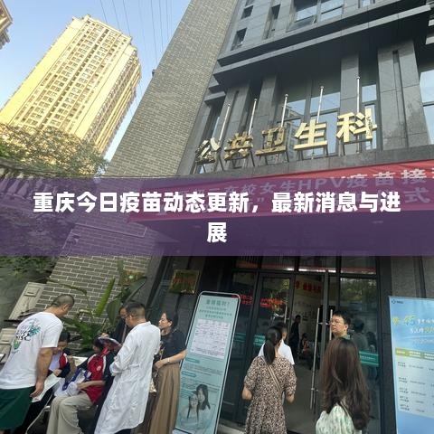 重庆今日疫苗动态更新，最新消息与进展