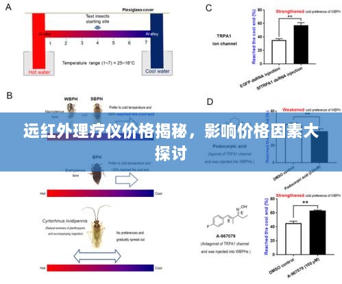 远红外理疗仪价格揭秘，影响价格因素大探讨