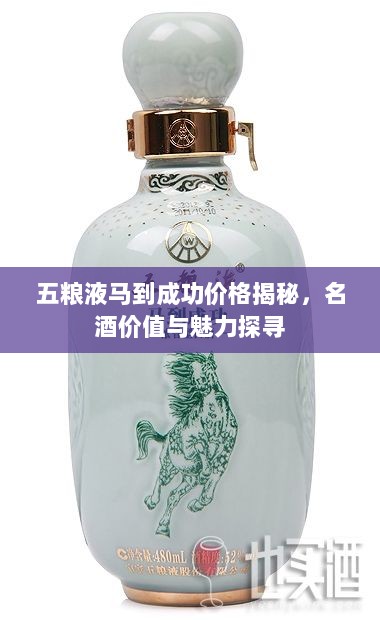 五粮液马到成功价格揭秘，名酒价值与魅力探寻