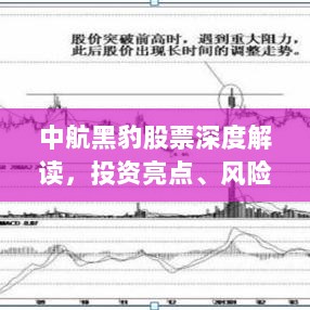 中航黑豹股票深度解读，投资亮点、风险与前景展望