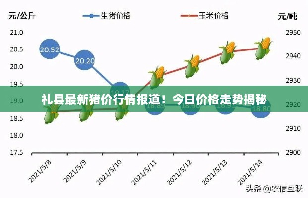 礼县最新猪价行情报道！今日价格走势揭秘