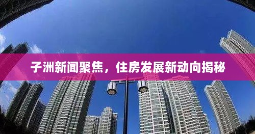 子洲新闻聚焦，住房发展新动向揭秘