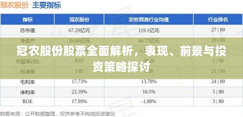 冠农股份股票全面解析，表现、前景与投资策略探讨