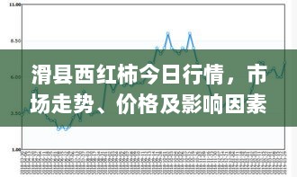 滑县西红柿今日行情，市场走势、价格及影响因素深度解析