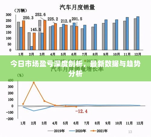 今日市场盈亏深度剖析，最新数据与趋势分析