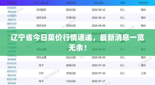 辽宁省今日菜价行情速递，最新消息一览无余！