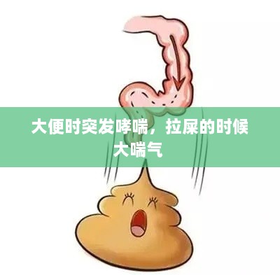 大便时突发哮喘，拉屎的时候大喘气 