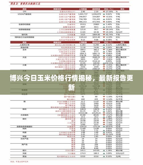 博兴今日玉米价格行情揭秘，最新报告更新