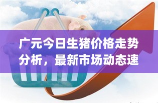 广元今日生猪价格走势分析，最新市场动态速递