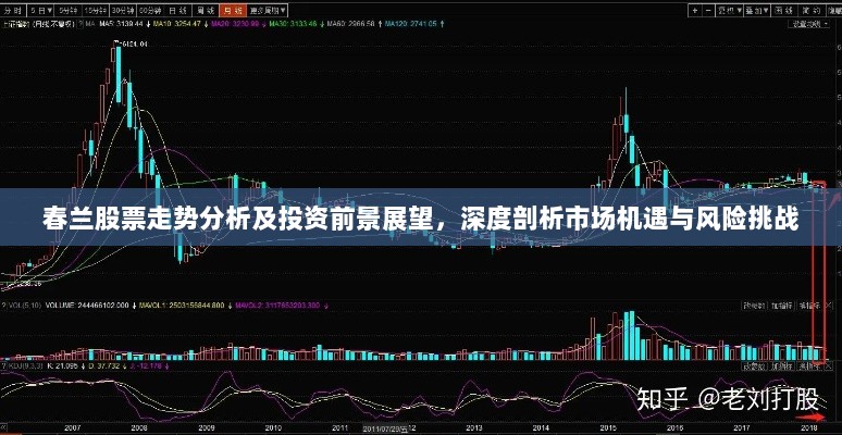 春兰股票走势分析及投资前景展望，深度剖析市场机遇与风险挑战