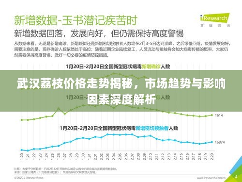 武汉荔枝价格走势揭秘，市场趋势与影响因素深度解析