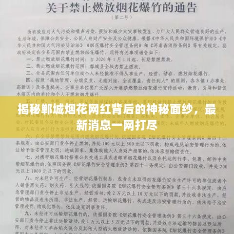 揭秘郸城烟花网红背后的神秘面纱，最新消息一网打尽