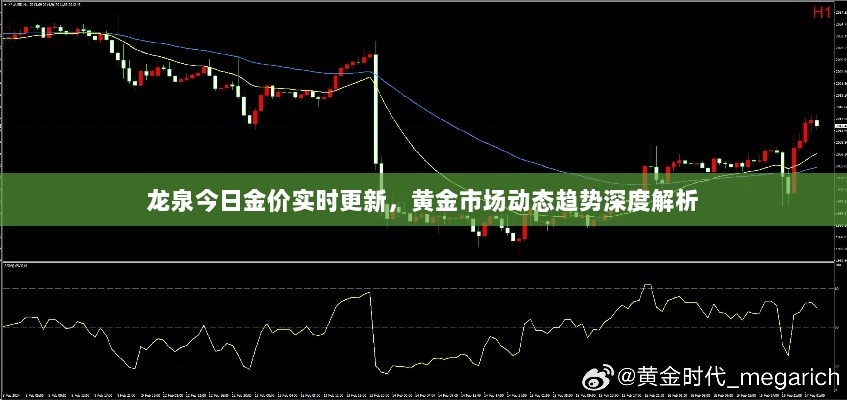 龙泉今日金价实时更新，黄金市场动态趋势深度解析