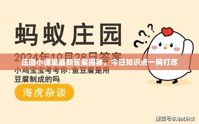 庄园小课堂最新答案揭秘，今日知识点一网打尽