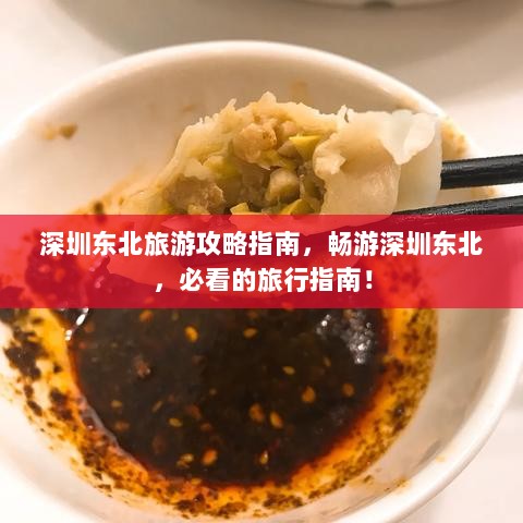 深圳东北旅游攻略指南，畅游深圳东北，必看的旅行指南！