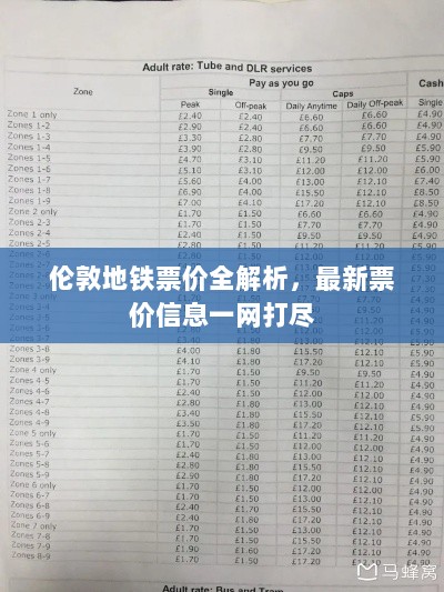 2025年2月15日 第13页