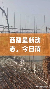 西建最新动态，今日消息一网打尽