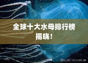 全球十大水母排行榜揭晓！