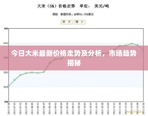 今日大米最新价格走势及分析，市场趋势揭秘