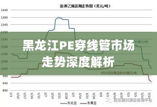 2025年2月16日 第5页