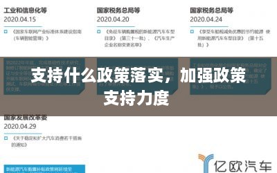 支持什么政策落实，加强政策支持力度 