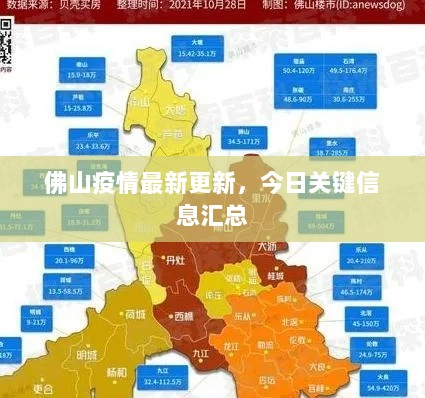 佛山疫情最新更新，今日关键信息汇总