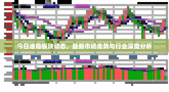 今日油脂板块动态，最新市场走势与行业深度分析