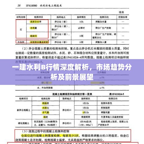 一建水利B行情深度解析，市场趋势分析及前景展望