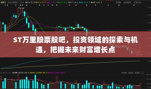 ST万里股票股吧，投资领域的探索与机遇，把握未来财富增长点