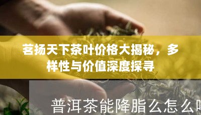 茗扬天下茶叶价格大揭秘，多样性与价值深度探寻