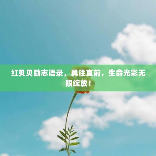 红贝贝励志语录，勇往直前，生命光彩无限绽放！