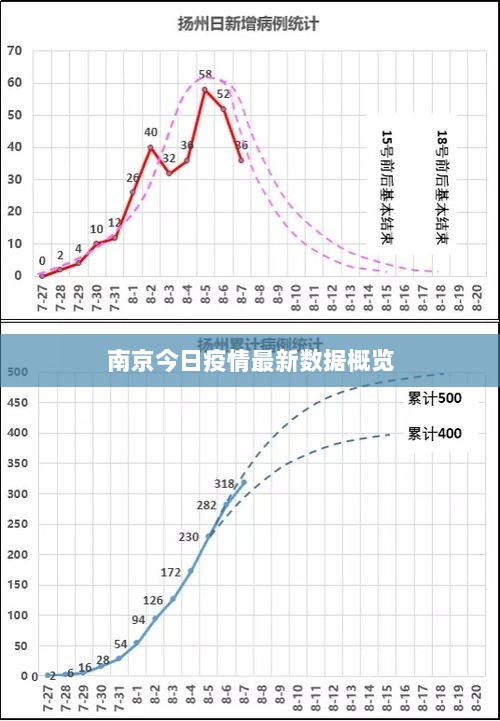 南京今日疫情最新数据概览