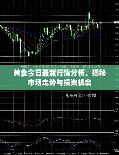 黄金今日最新行情分析，揭秘市场走势与投资机会