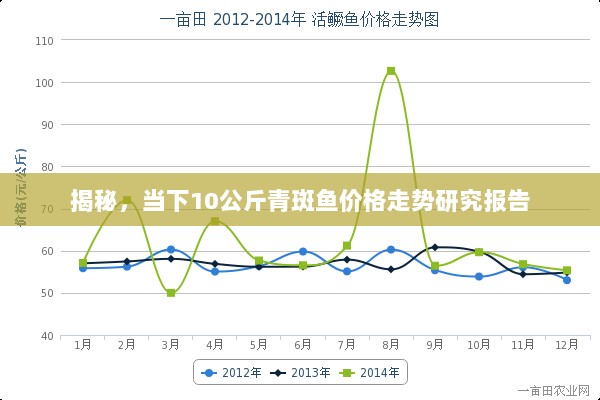 揭秘，当下10公斤青斑鱼价格走势研究报告