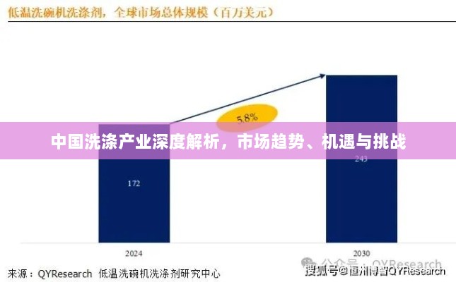 中国洗涤产业深度解析，市场趋势、机遇与挑战