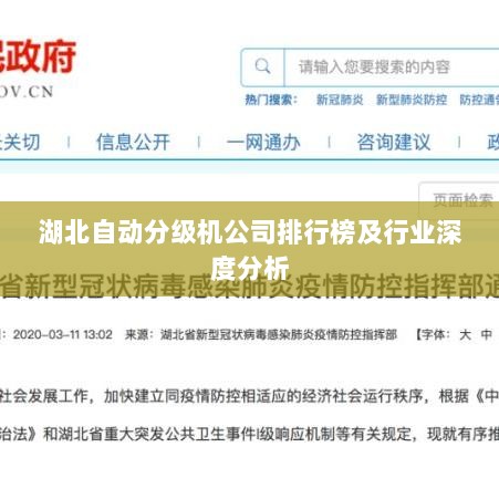 湖北自动分级机公司排行榜及行业深度分析