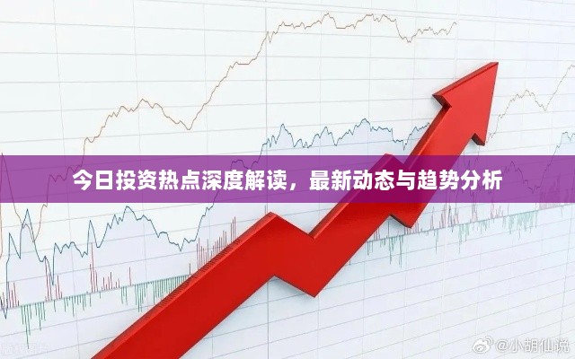 今日投资热点深度解读，最新动态与趋势分析