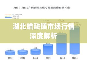 湖北硫酸镁市场行情深度解析