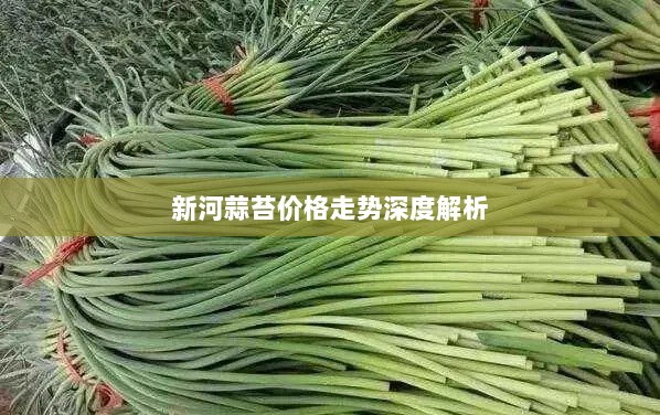 新河蒜苔价格走势深度解析