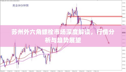 苏州外六角螺栓市场深度解读，行情分析与趋势展望