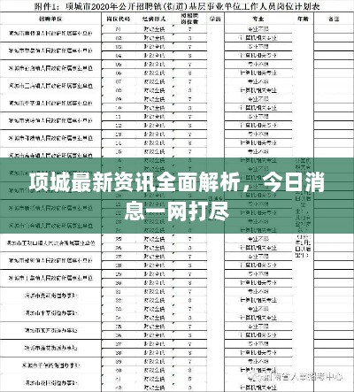 项城最新资讯全面解析，今日消息一网打尽