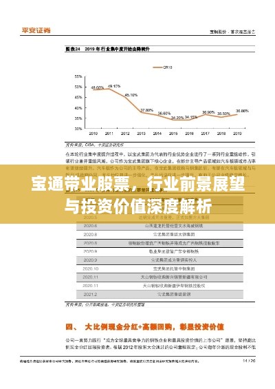 宝通带业股票，行业前景展望与投资价值深度解析