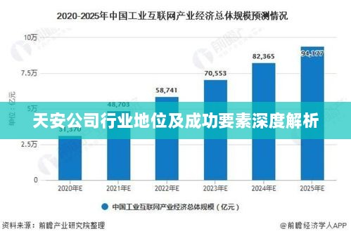 天安公司行业地位及成功要素深度解析