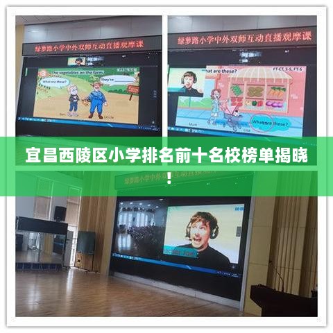 宜昌西陵区小学排名前十名校榜单揭晓！