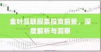 金叶互联股票投资前景，深度解析与洞察