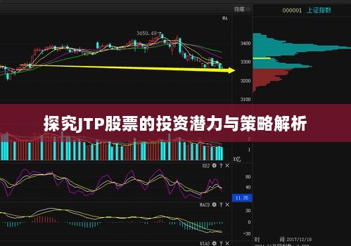 探究JTP股票的投资潜力与策略解析