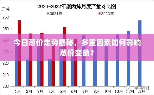 今日葱价走势揭秘，多重因素如何影响葱价变动？