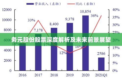 务元股份股票深度解析及未来前景展望