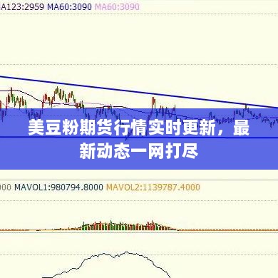 美豆粉期货行情实时更新，最新动态一网打尽