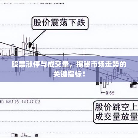 股票涨停与成交量，揭秘市场走势的关键指标！